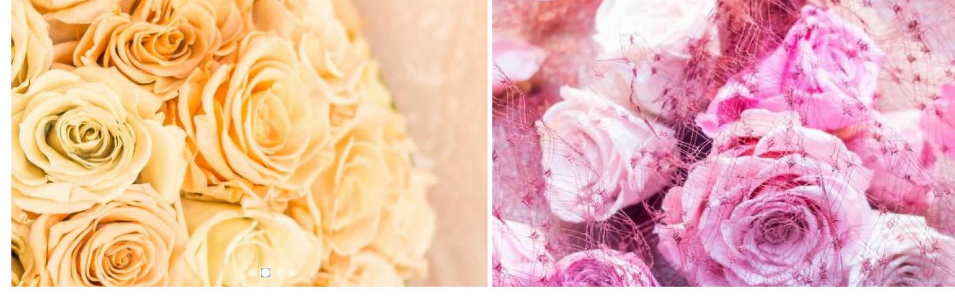 fb0d6ee3-8284-4a4d-ba52-5d1ac64e77b2-Untitled design (1).png